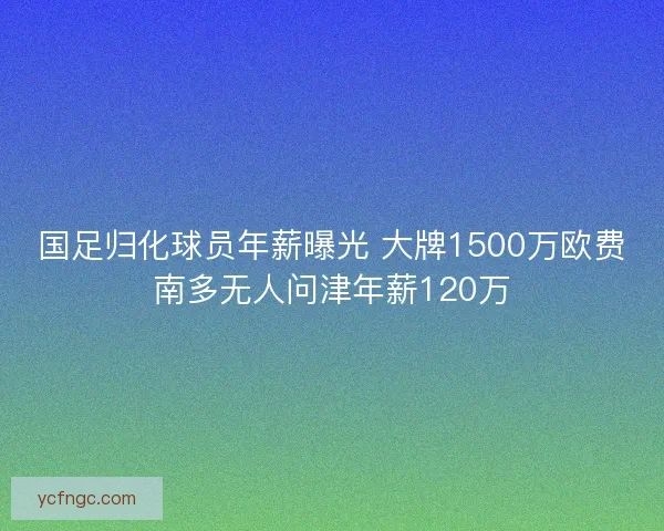 国足归化球员年薪曝光 大牌1500万欧费南多无人问津年薪120万